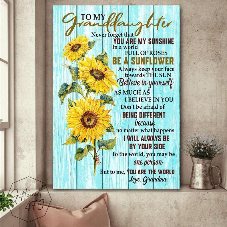To My Granddaughter Poster Canvas