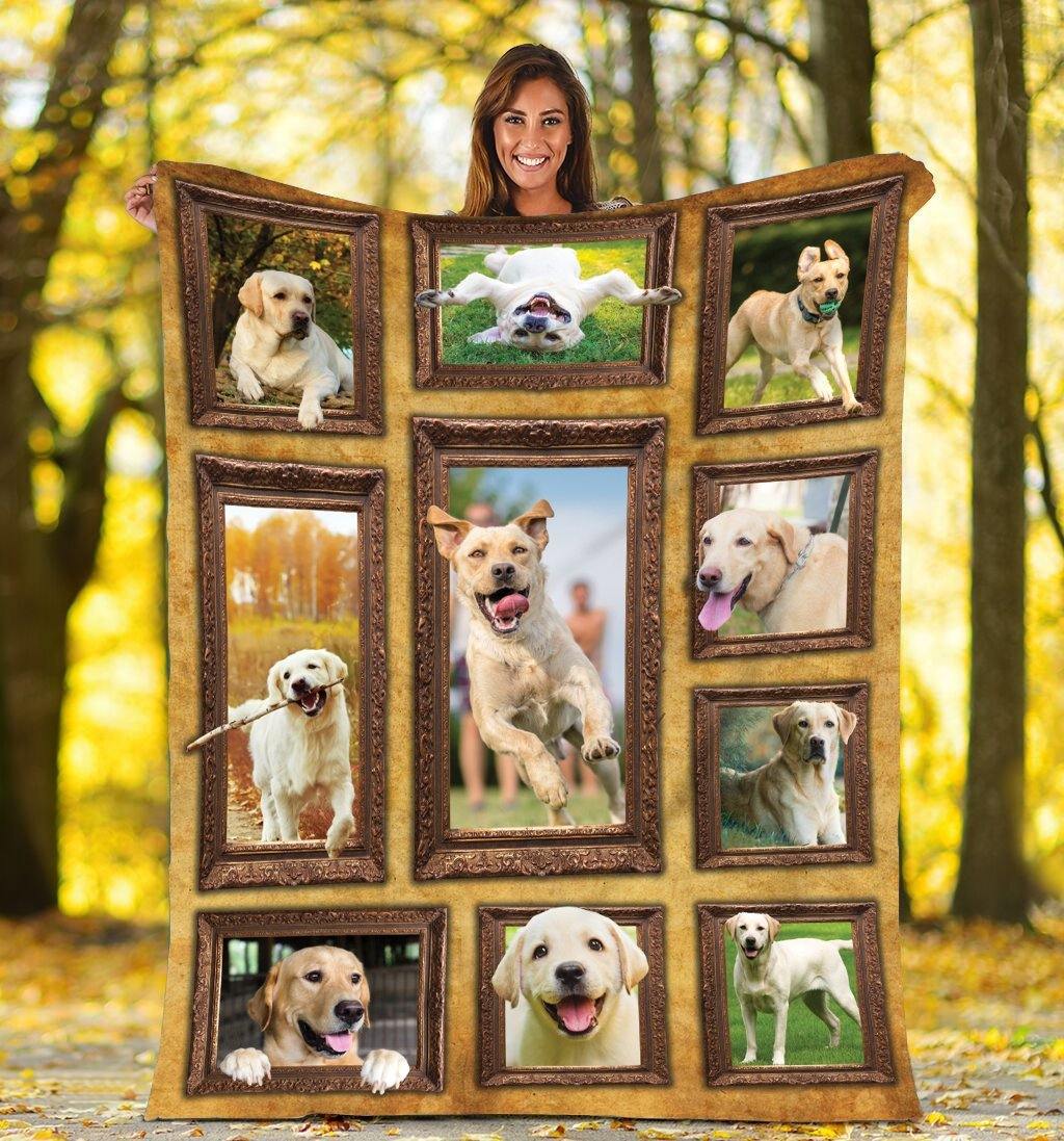 3D Labrador Retriever Dog – Unique Gifts Ideas For Home Decor Gifts For Family – Fleece Blanket Sherpa Blanket