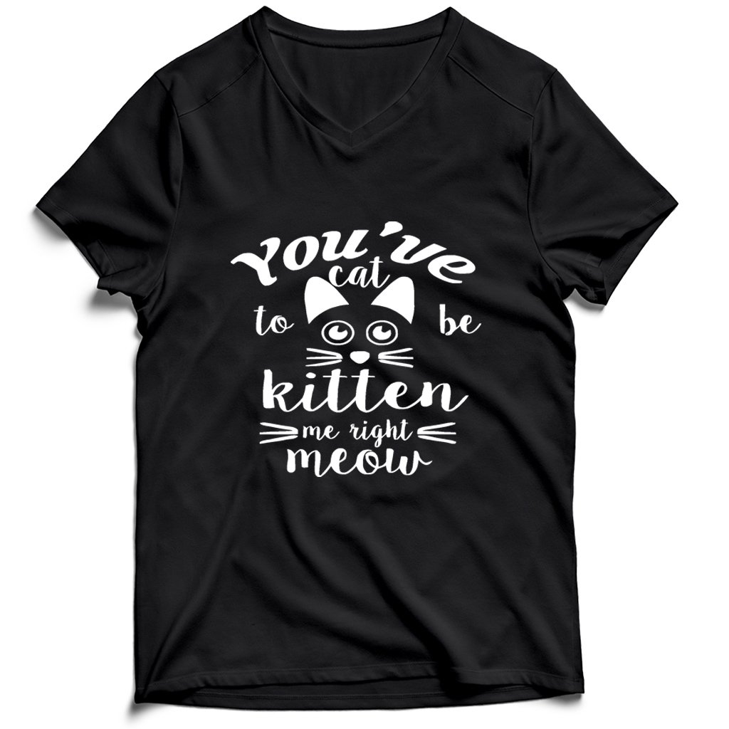 Are You Kitten Me Right Meow Meow Men’s V-Neck Tee T-Shirt