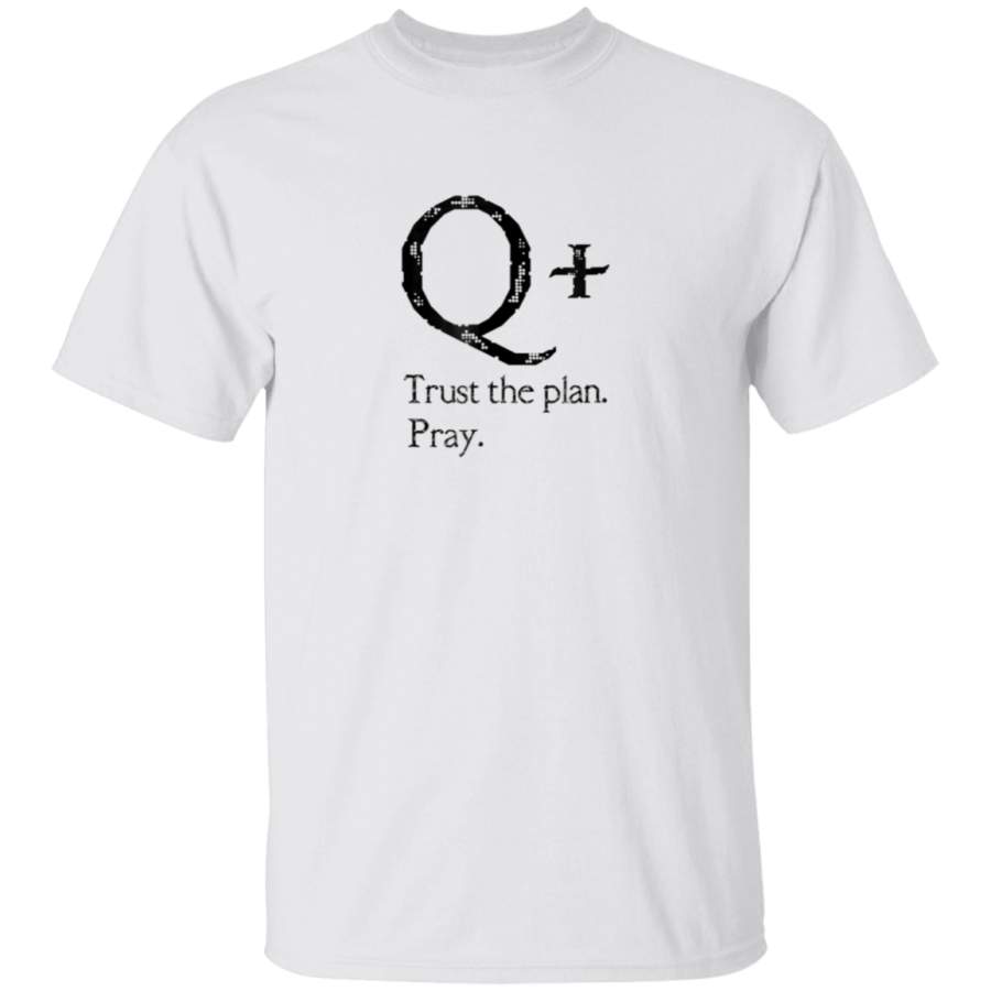 Q Trust The Plan Pray Distressed QAnon TShirt