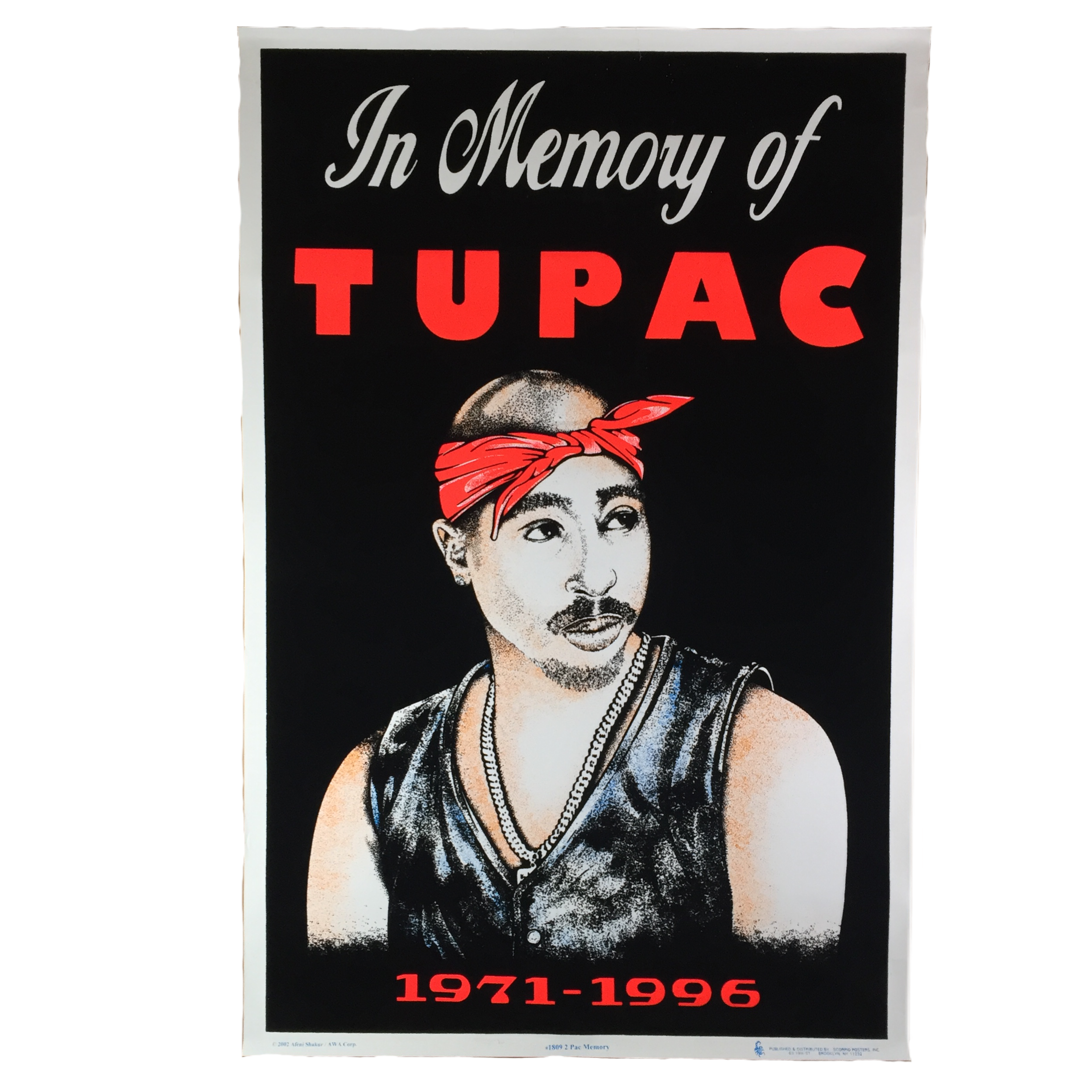 Vintage Tupac Velvet Black Light “In Memory Of” Poster