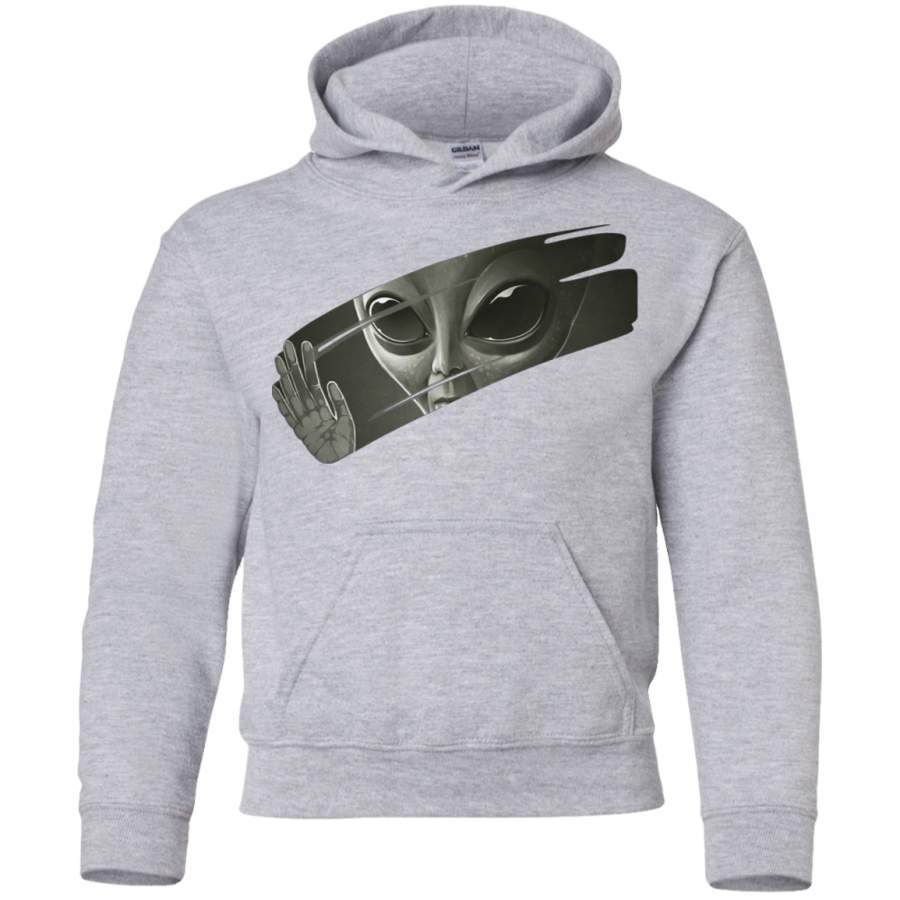 AGR Alien Youth Pullover Hoodie