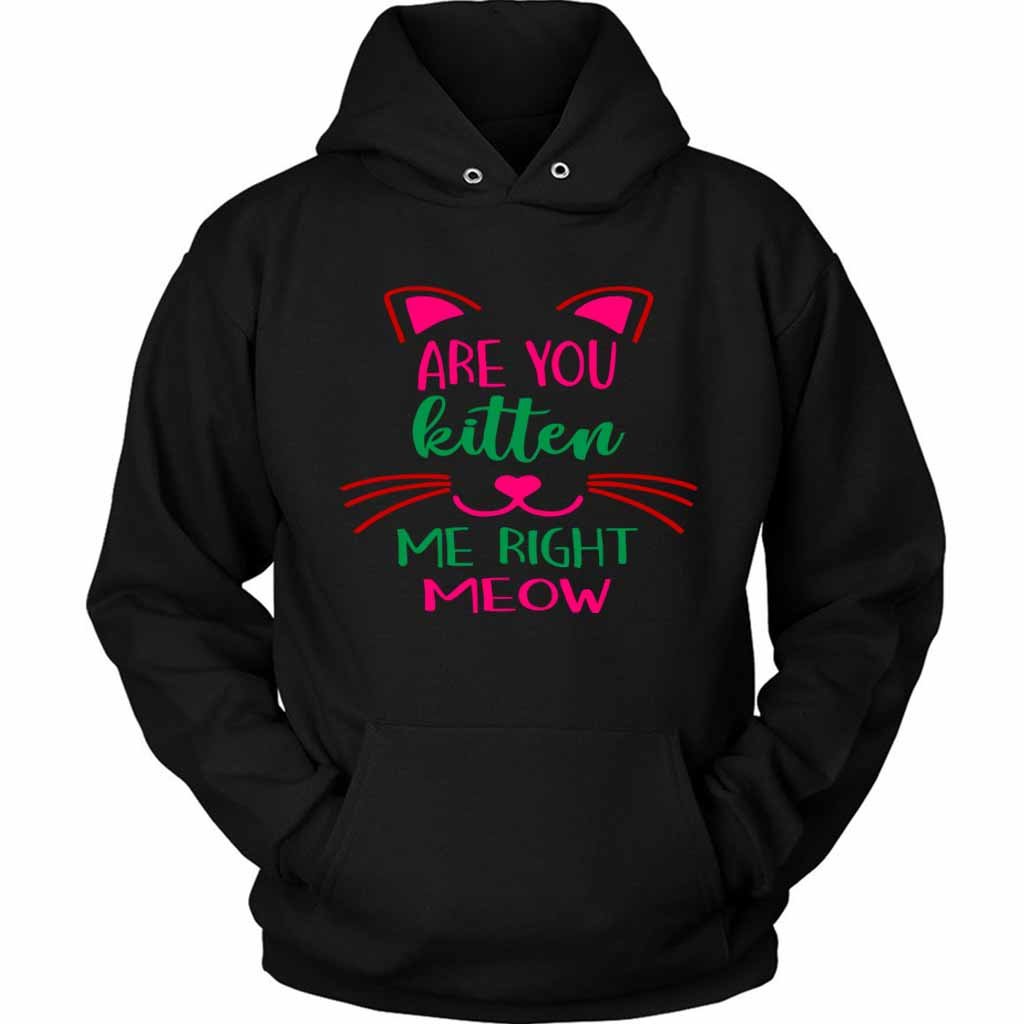 Are You Kitten Me Right Meow Aloen Unisex Hoodie