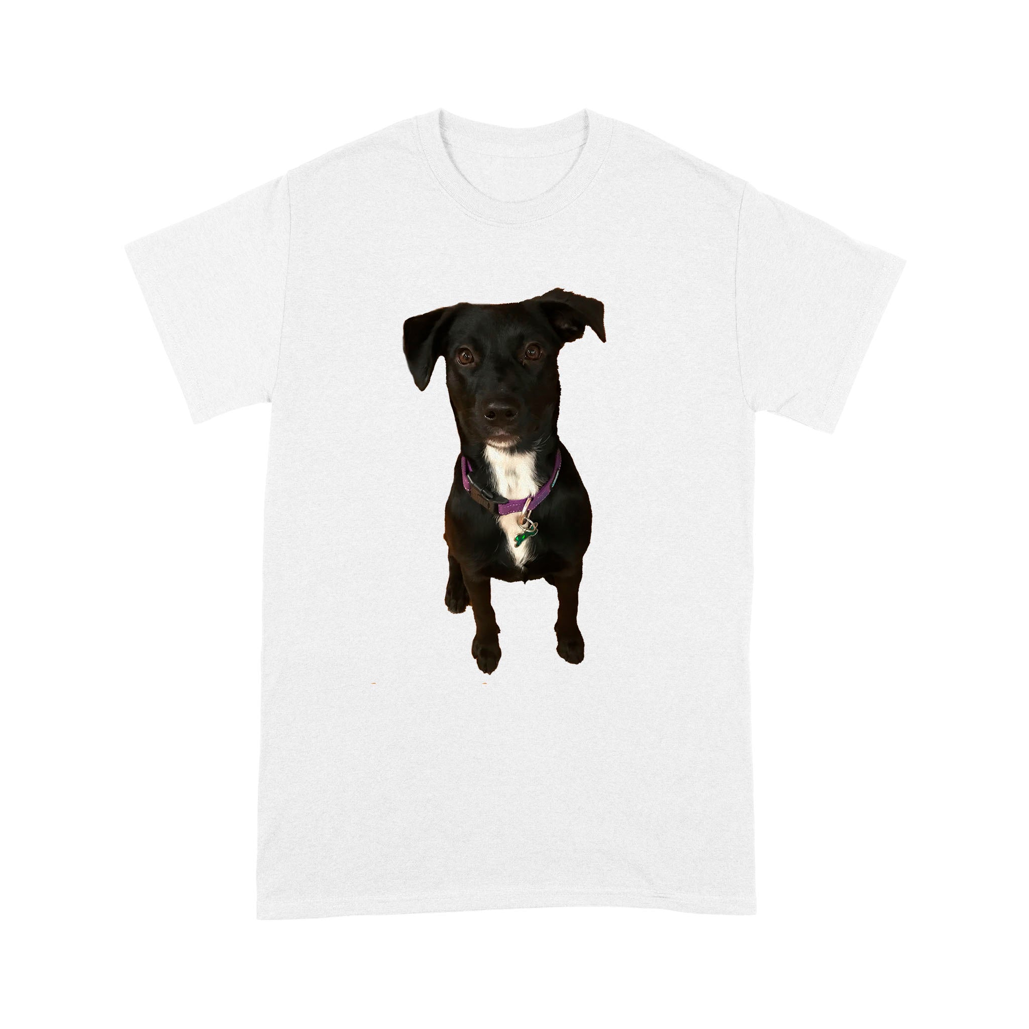 My Little Roxy –  Custom Illustrated Pet Personalized – T- Shirt