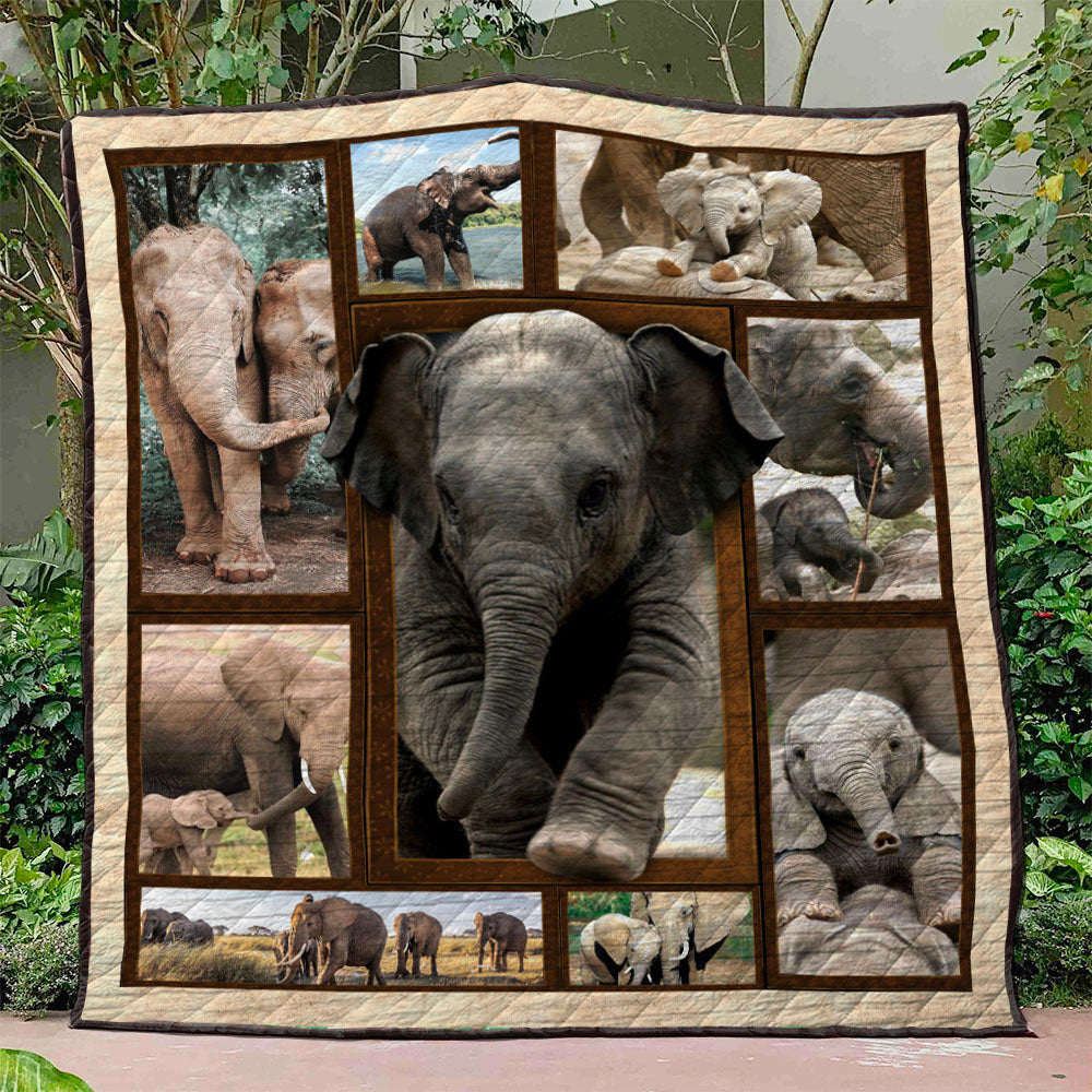 Baby Elephant Go To Human  Quilt Blanket