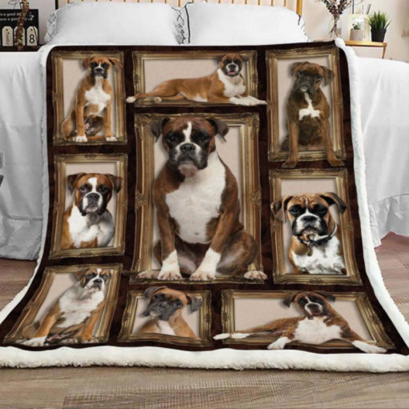 Boxer Dog Sherpa Blanket JR0901 69O57