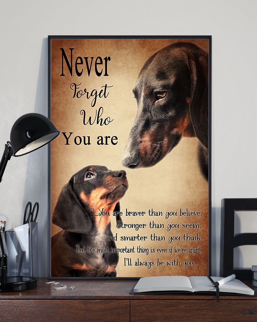 Dachshund Never4get Canvas Wall Art, Poster And Canvas, Wall Decor