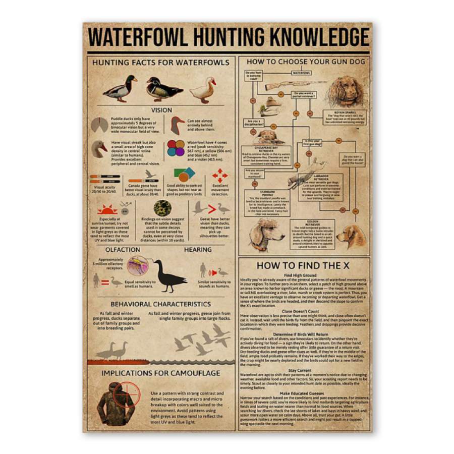 Waterfowl Hunting Knowledge Custom Design  Poster Gift