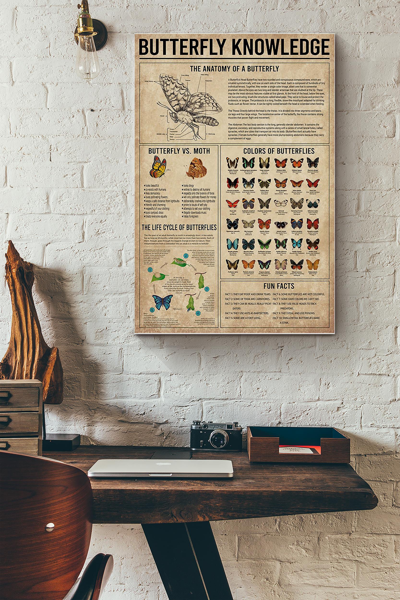 Butterfly Knowledge Things You Need To Know About Butterfly Poster