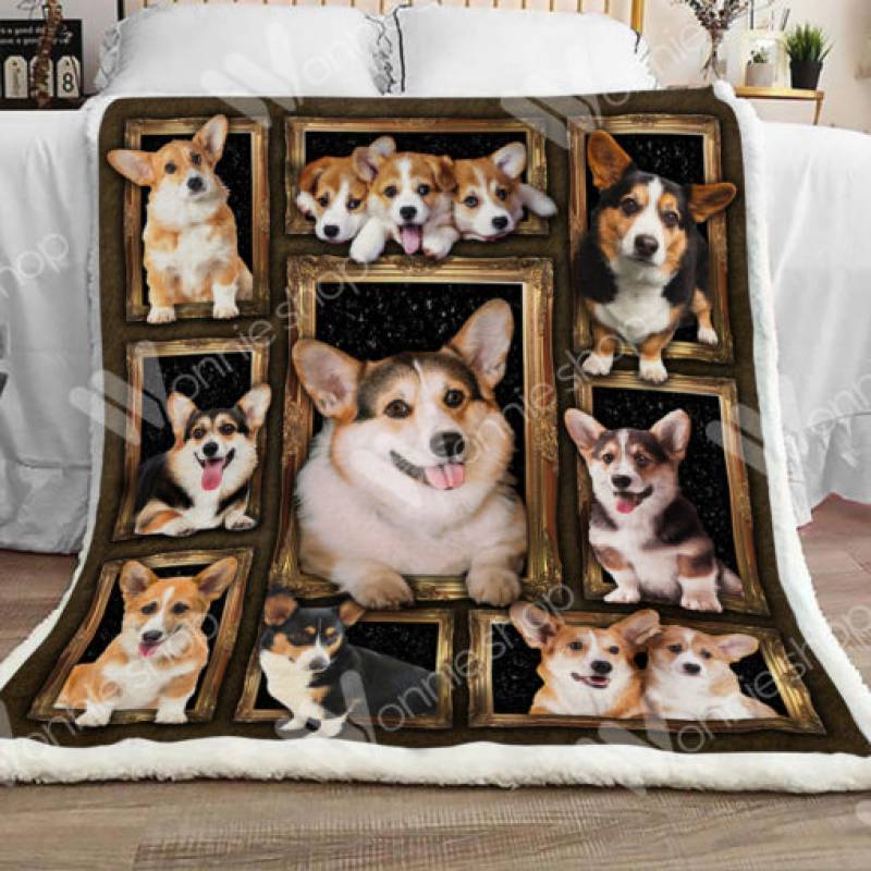 Welsh Corgi Sherpa Blanket DCB1901 78O58