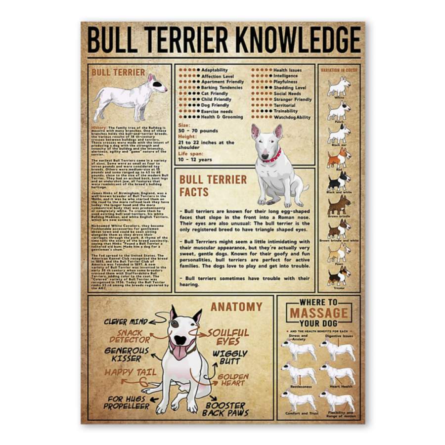 Poster Bull Terrier Knowledge  Gift For Bull Terrier Lovers