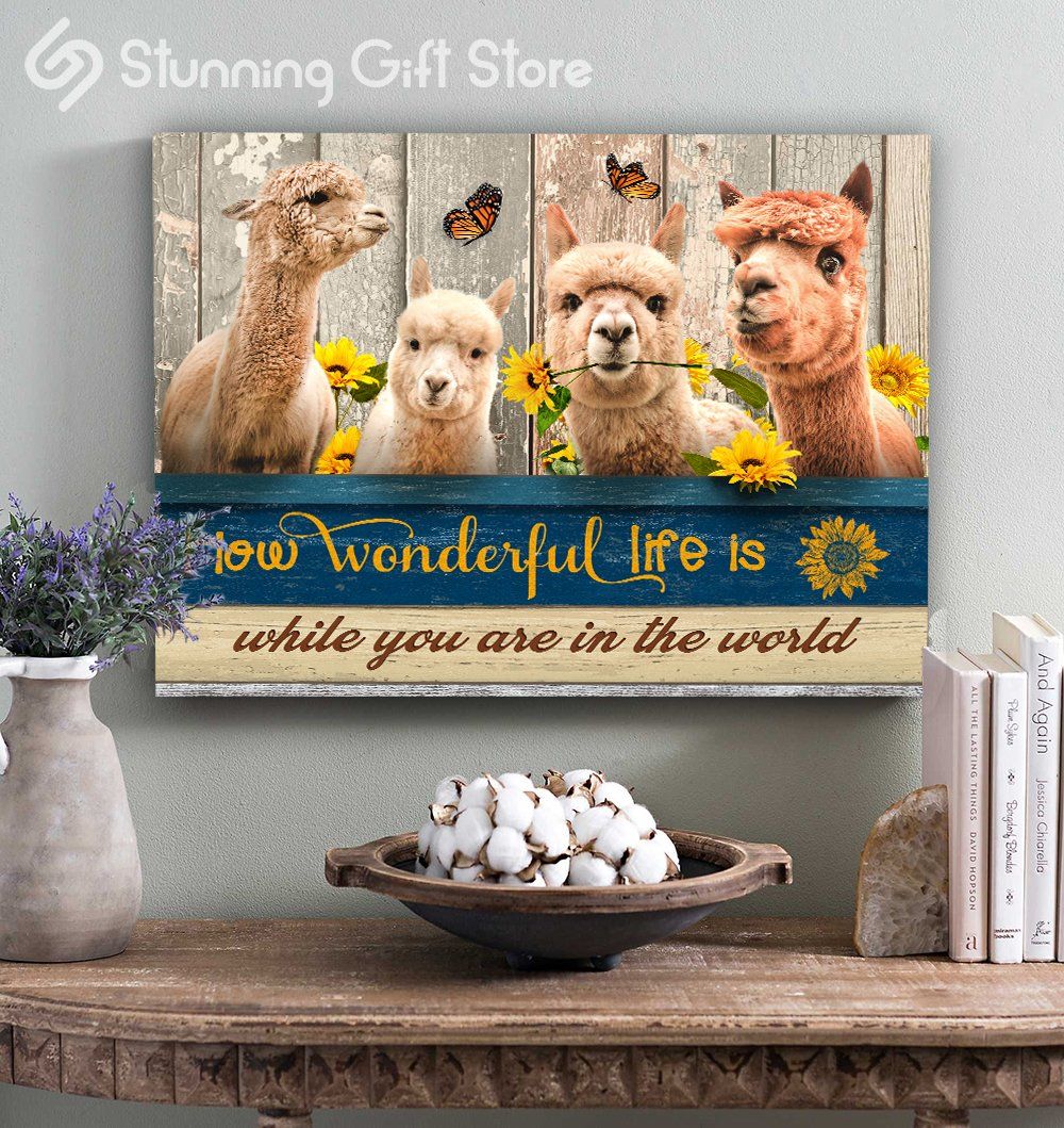 Canvases Llama Wall Art – How wonderful life is