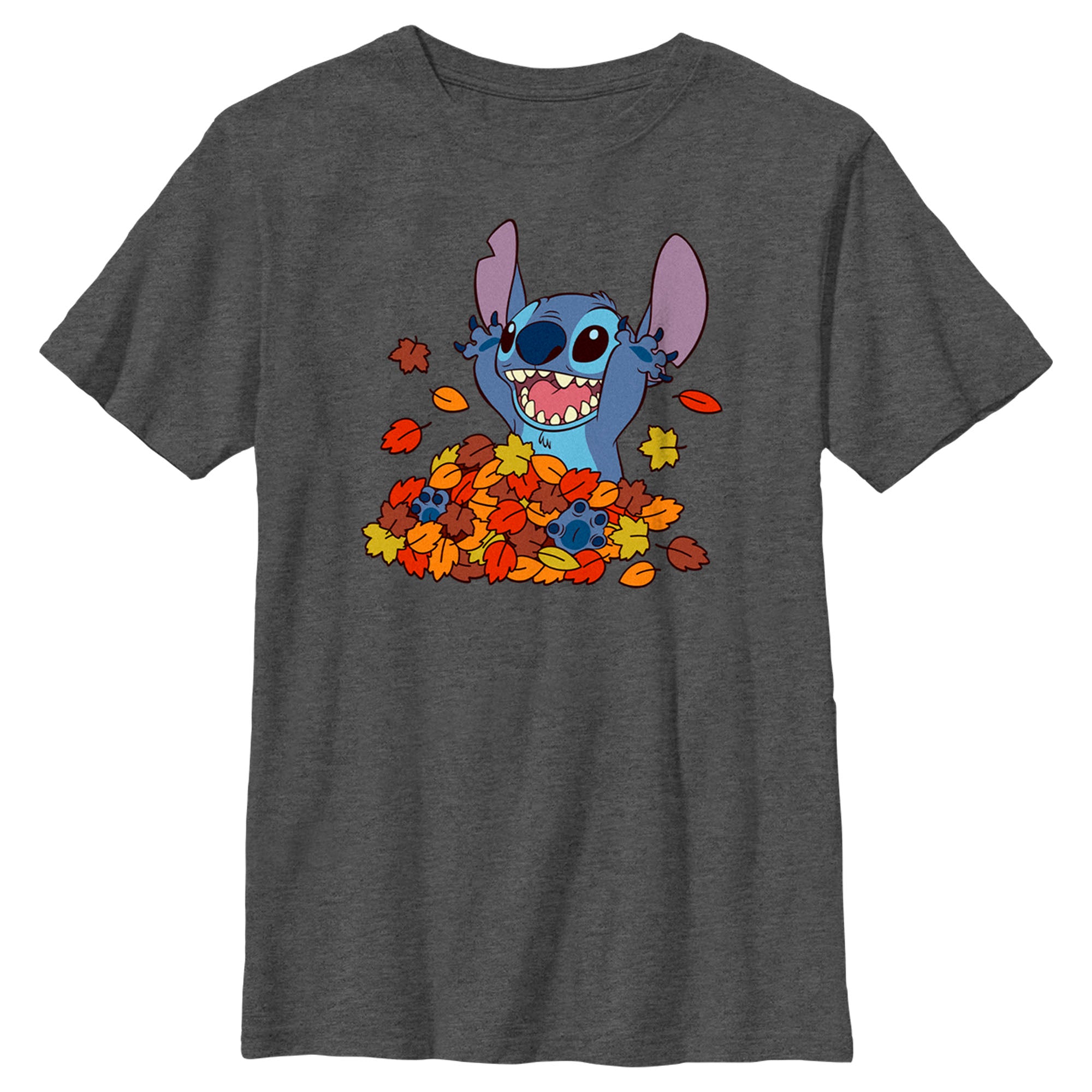 Boy’S Lilo & Stitch Fall Leaf Pile T-Shirt