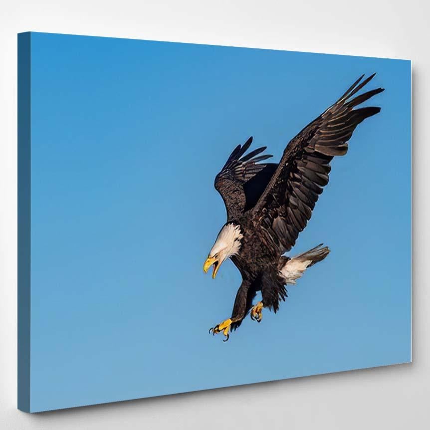 American Bald Eagle Swooping Down Screaming – Eagle Animals Canvas Print