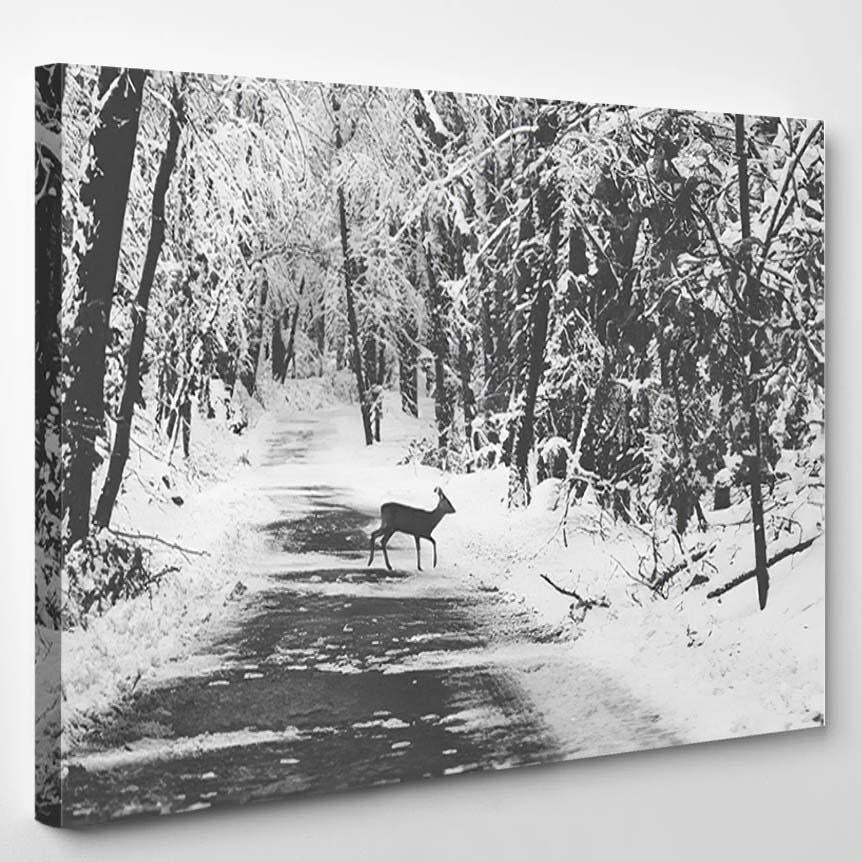 Young Roe Deer Crossing Road Winter – Deer Animals Canvas Print