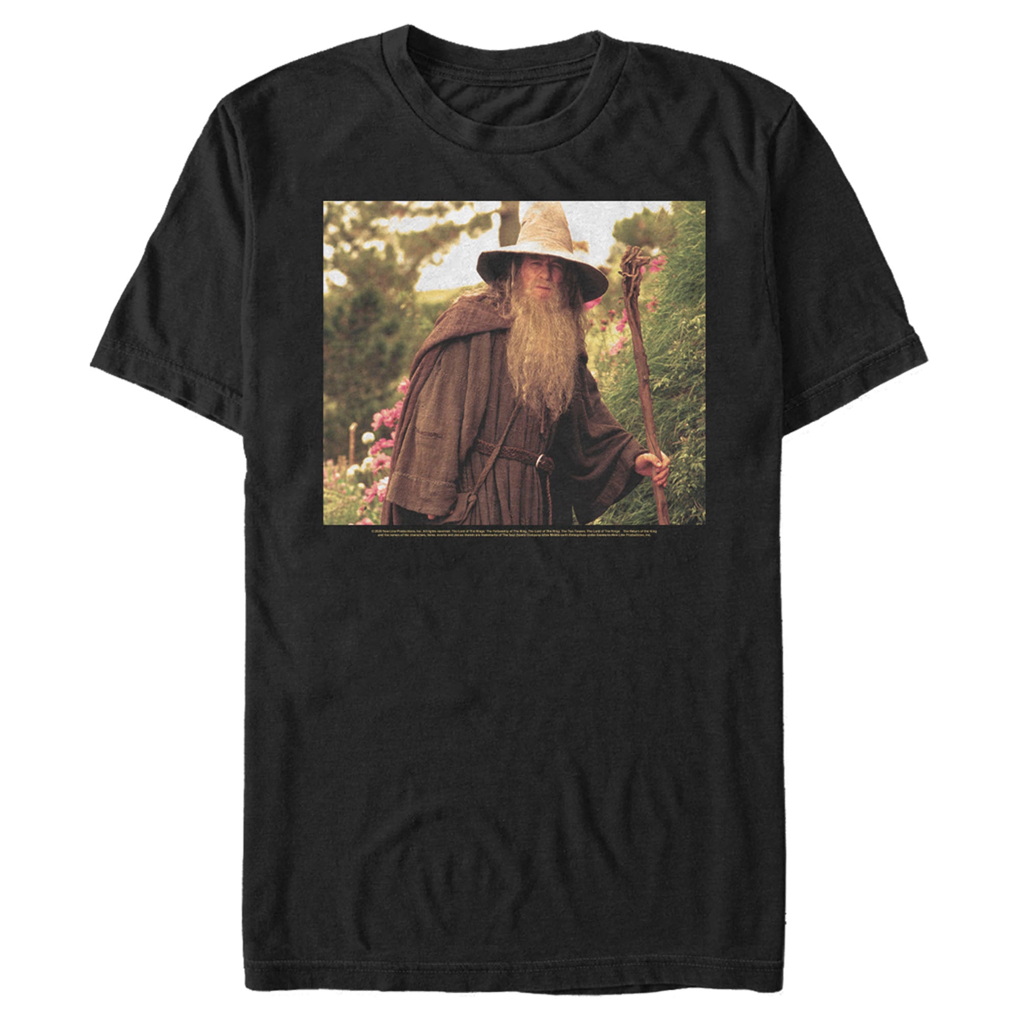 The Lord Of The Rings Men’S Fellowship Of The Ring Travelling Gandalf  T-Shirt