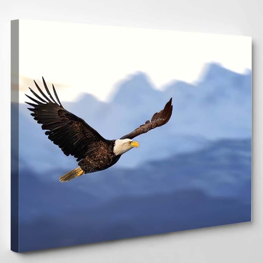 American Bald Eagle Flight Against Illustrated 1 – Eagle Animals Canvas Print