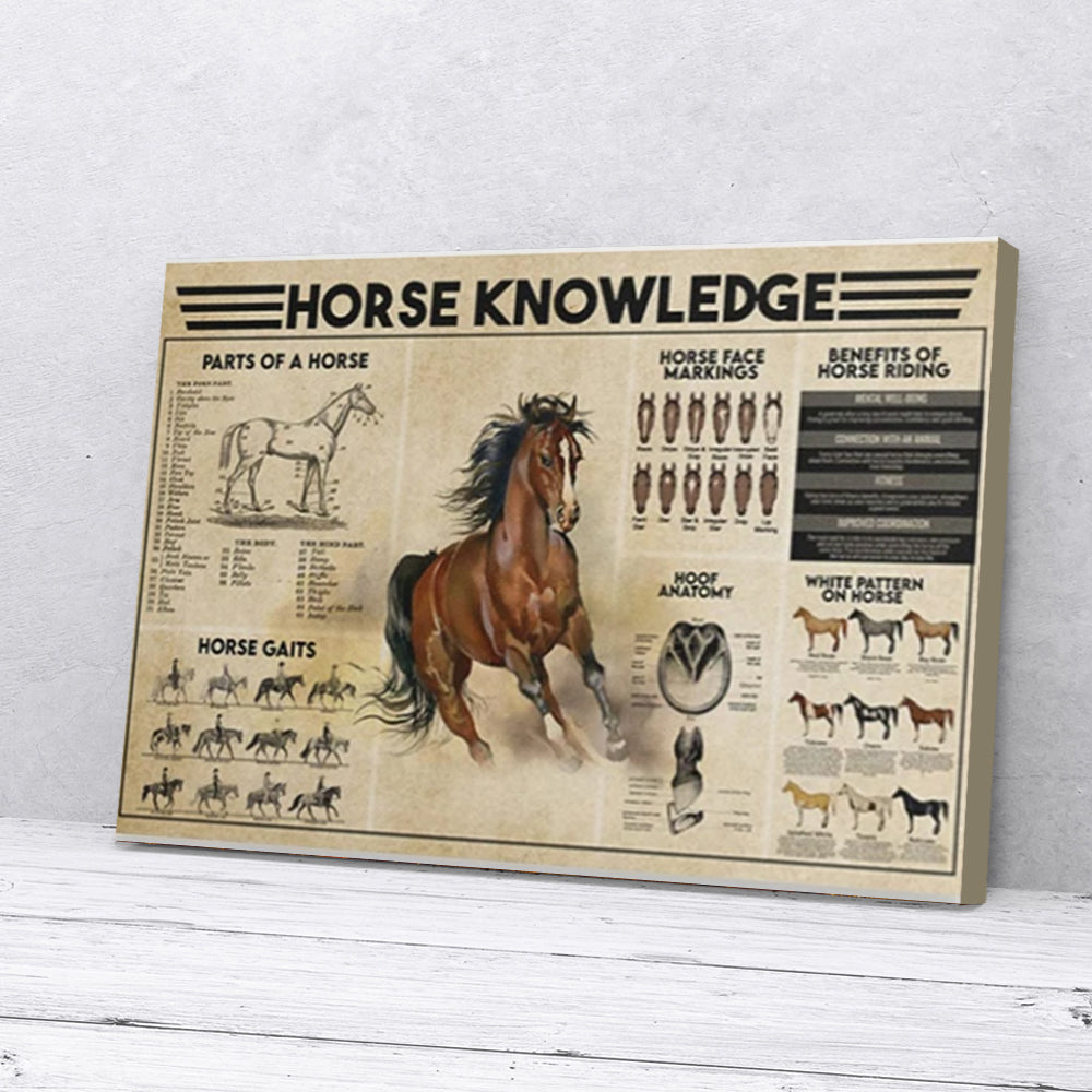 Bestieship Horse Knowledge Canvas Prints