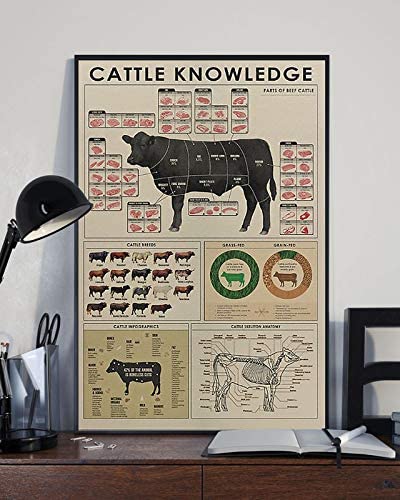 ˙Cattle Knowledge Poster