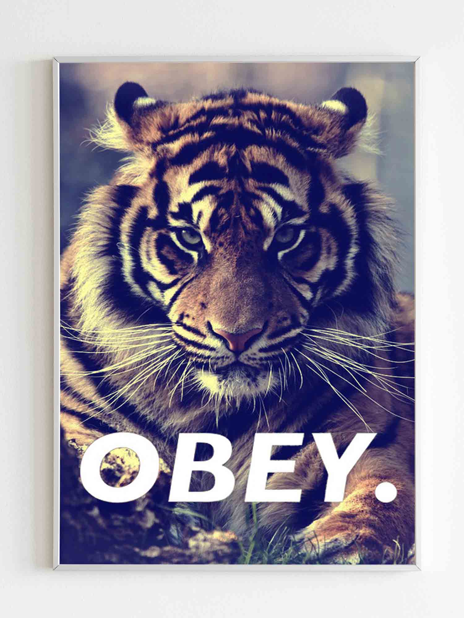 Tiger Obey Poster