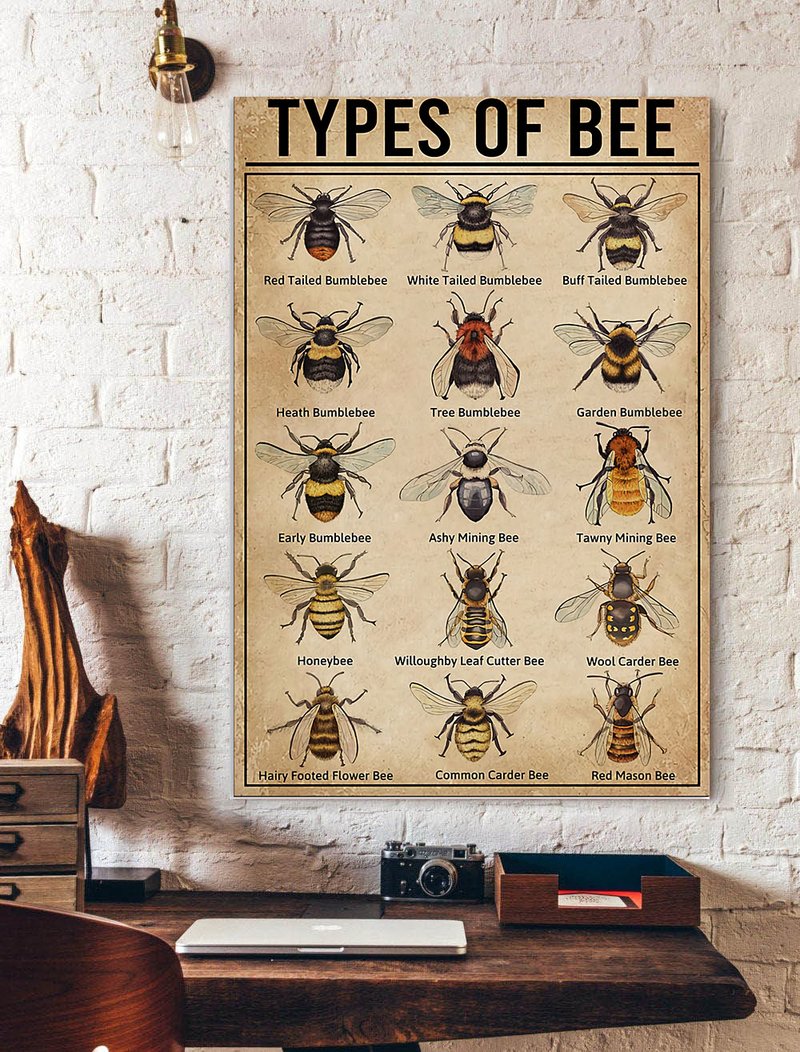 Type Of Bees Poster Bee Knowledge Poster Bee Keeper Knowledge Poster