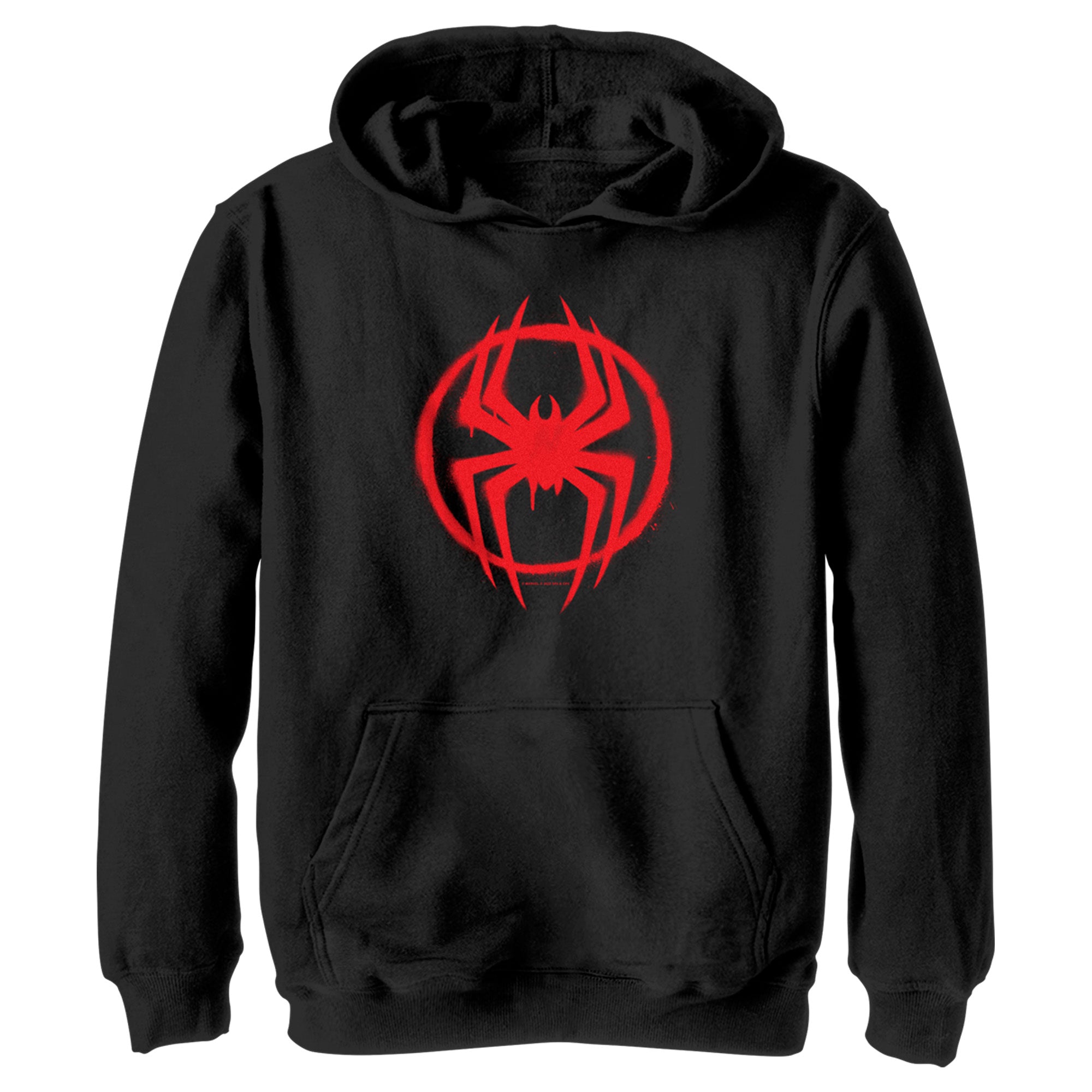 Boy’S Spider-Man: Across The Spider-Verse Graffiti Spider Logo Pull Over Hoodie