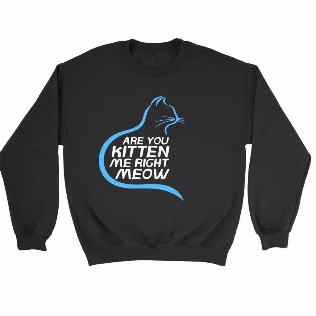 Are You Kitten Me Right Meow Hiden Sweatshirt Sweater