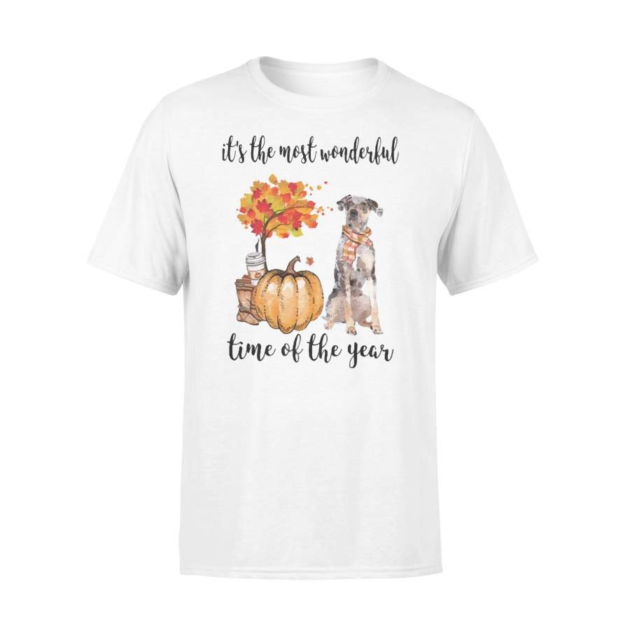 Fall Pumpkin It’s The Most Wonderful Time Of The Year Catahoula Leopard T-Shirt