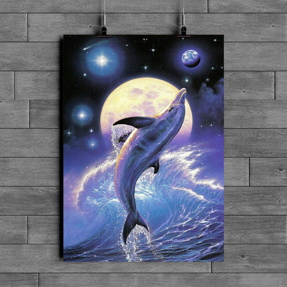 Dolphin Poster Hu131111Pt