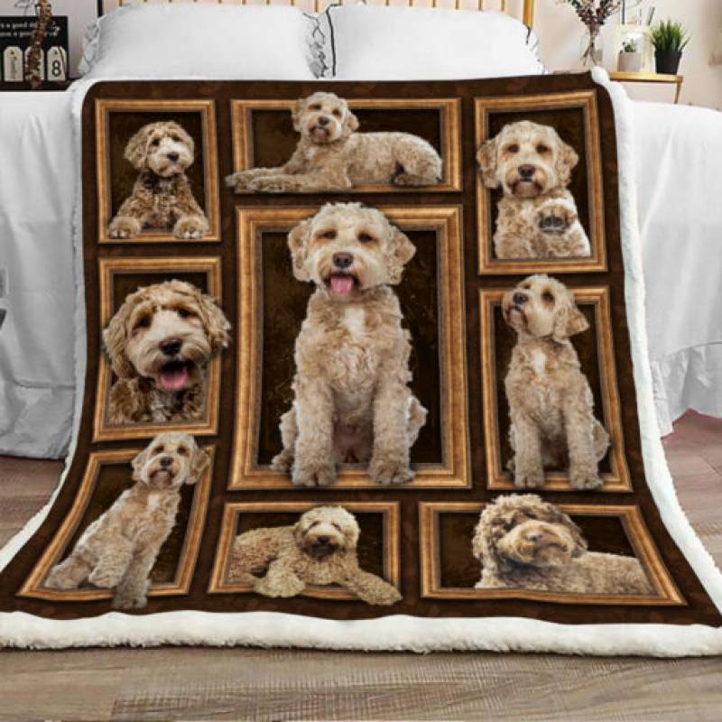 Labradoodle Dog Sherpa Blanket DCB3001 95O41