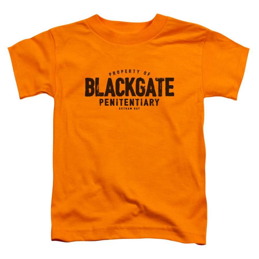 Batman – Blackgate Short Sleeve Toddler Tee