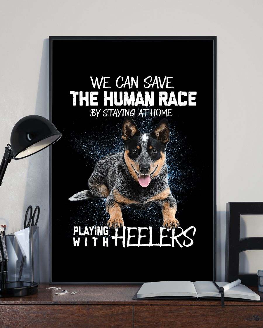 Playing with Heelers  poster