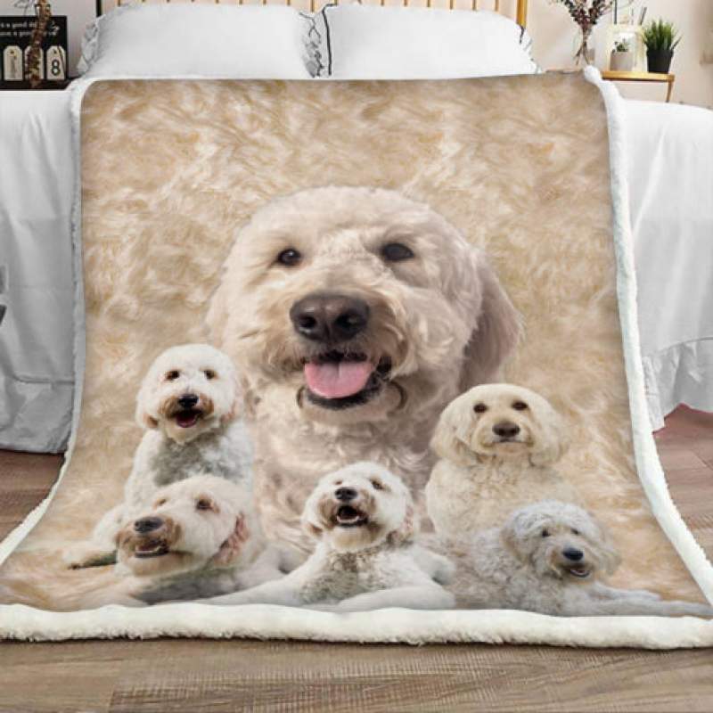 Goldendoodle Dog Sherpa Blanket JR1502 70O56