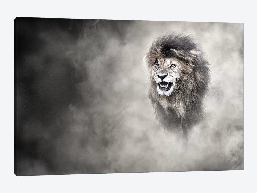 Vulnerable African Lion In The Dust Canvas Poster 8″x12″ 12×18″ 18″x26″ 24″x36″ 30″x45″