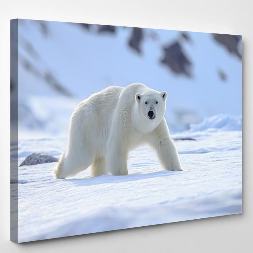 Polar Bear Ursus Maritimus 1 – Bear Animals Canvas Print