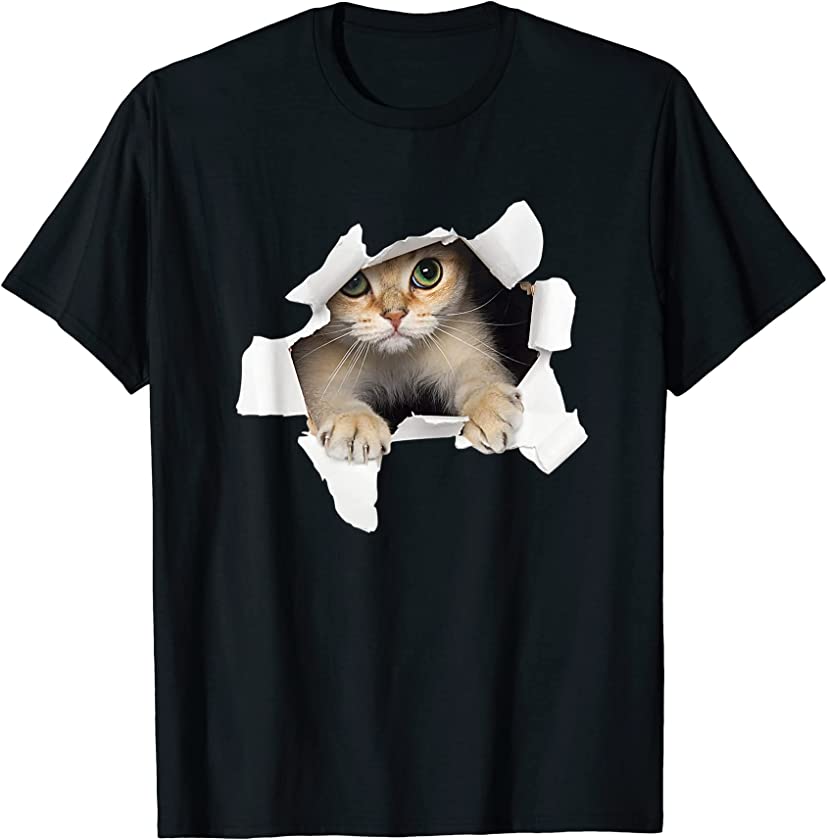 Cat Torn Cloth Shirt Kitten lover cat T-Shirt