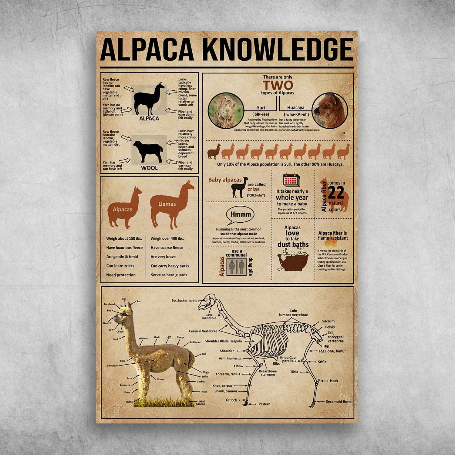 Alpaca Knowledge There Are Only Two Types Of Alpacas Poster Print Wall Art Canvas Wall Decor