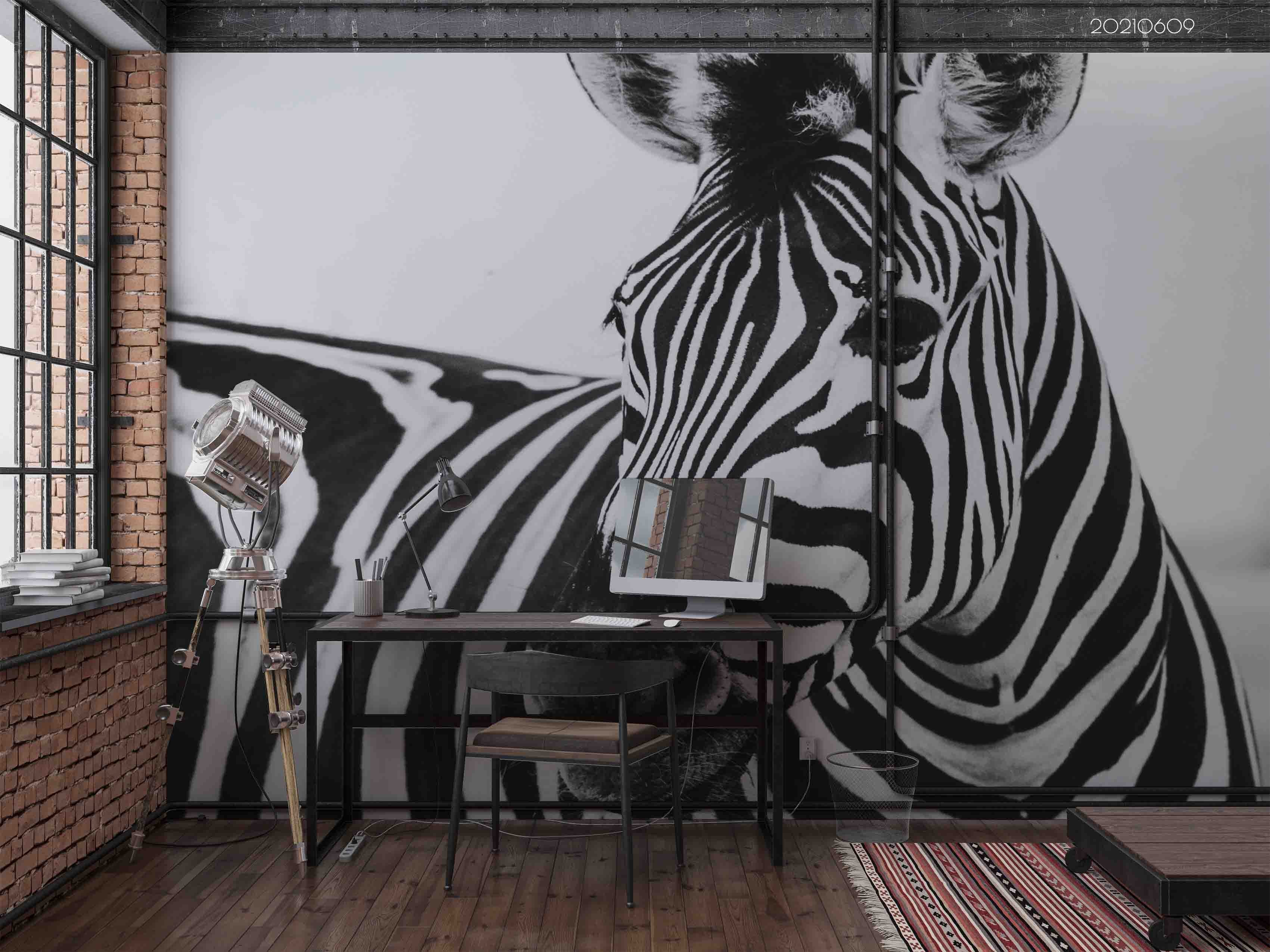 3D  Africa Animal Zebra Wall Mural Wallpaper Sww1670