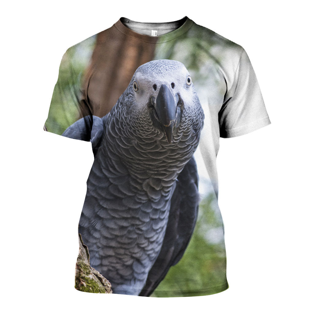 3D All Over Printed African Grey Parrot Shirts And Shorts DT191108