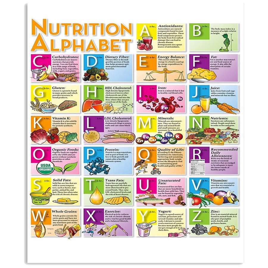 Nutrition Alphabet Colorful Design Gift For Family Vertical Poster ...