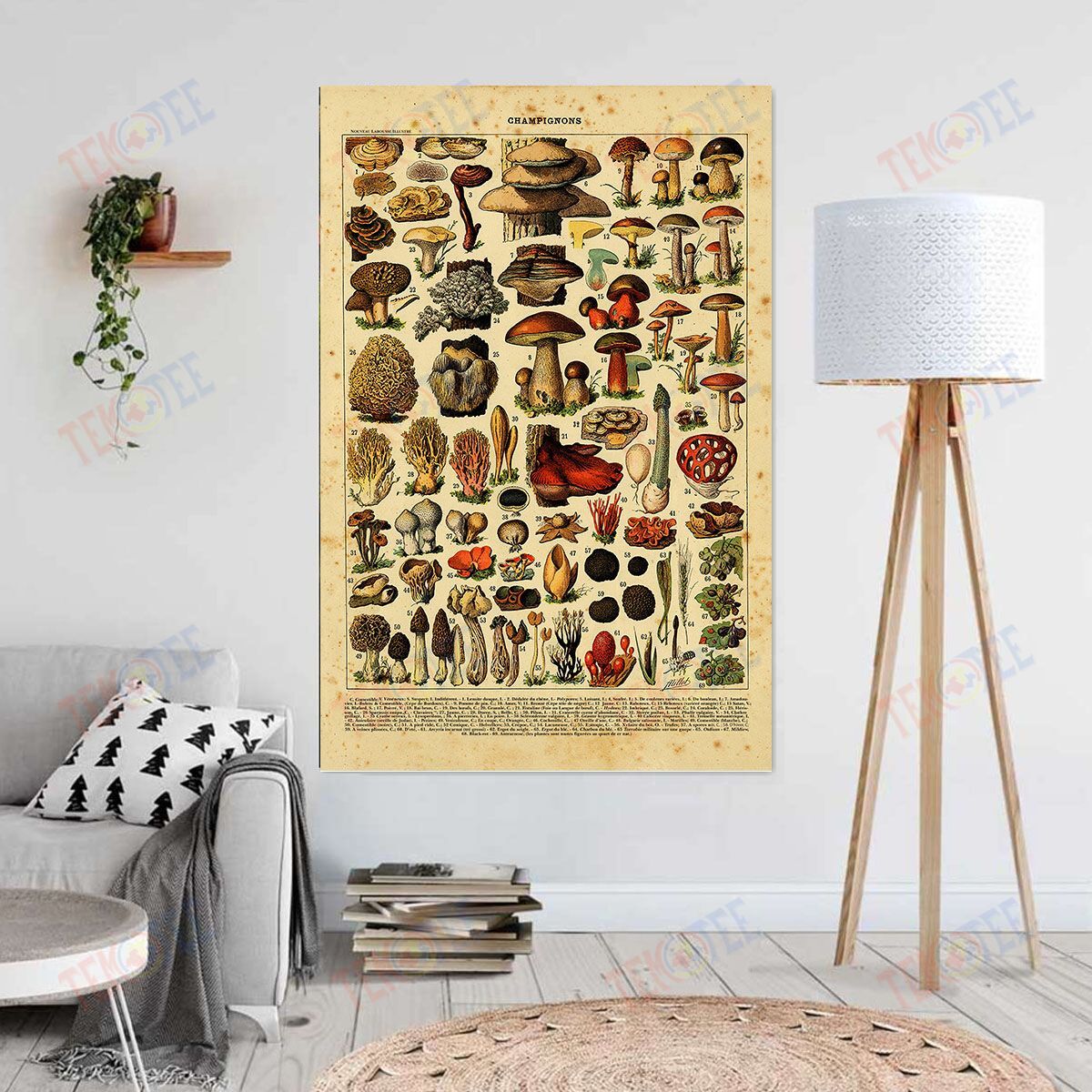 Canvas Wall Art Champignons Design Colorfull Wall Art Wall Art Home Decoration