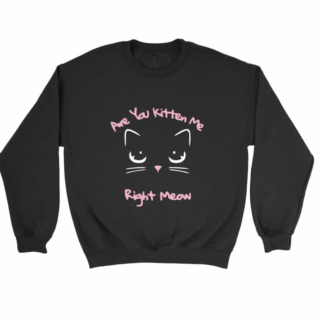 Are You Kitten Me Right Meow Putt Sweatshirt Sweater