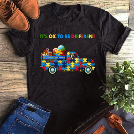 Funny Pug It’s Ok To Be Different Gift Dog Lovers T-Shirt