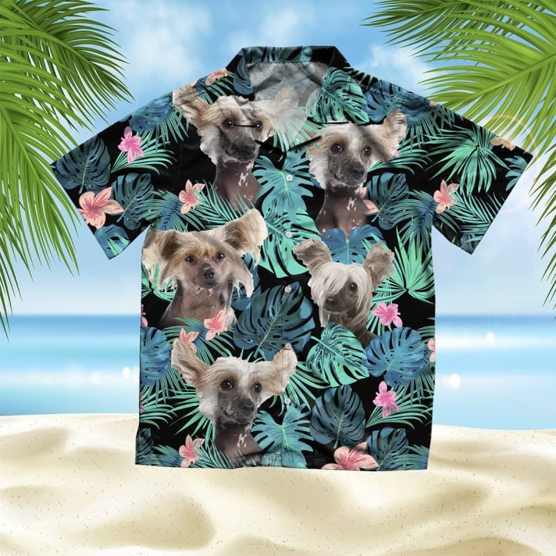 Felacia Chinese Cd Summer Leaves Hawaii Shirt Ha33972