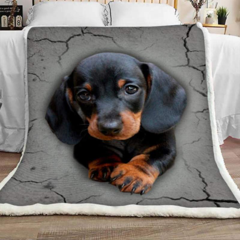 Dachshund Dog Sherpa Blanket JR1401 95O47