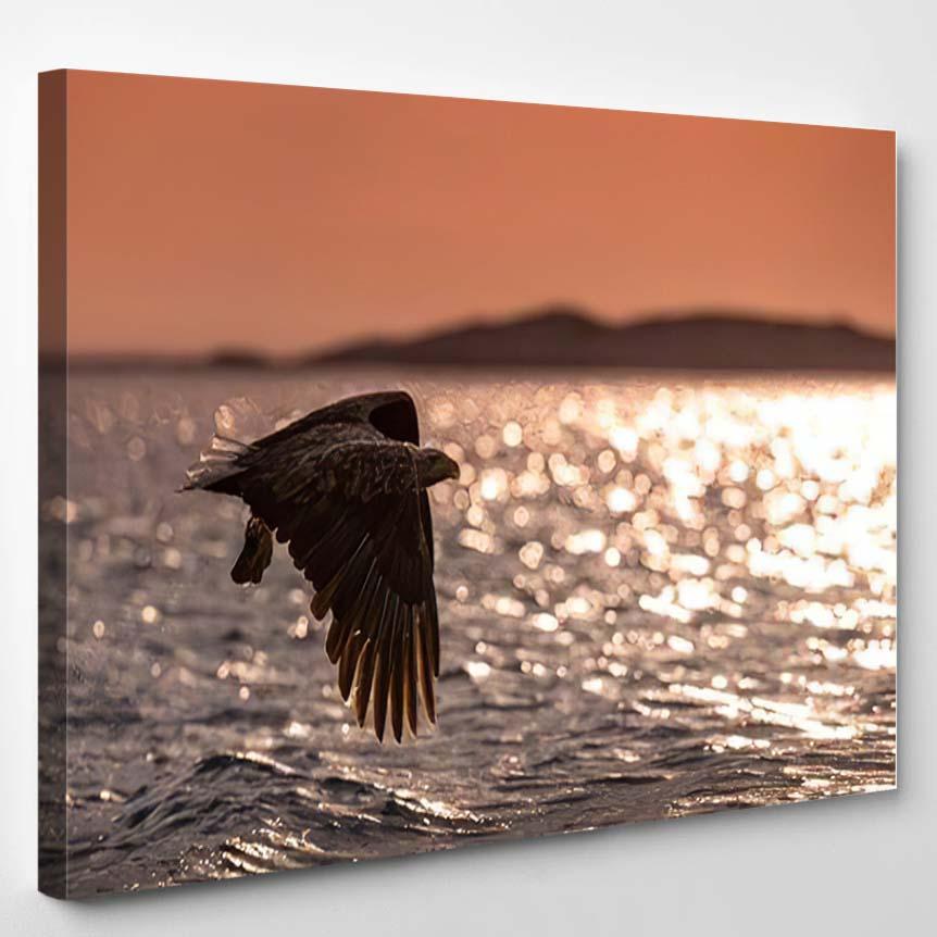 Whitetailed Eagle Haliaeetus Albicilla Just Has 6 – Eagle Animals Canvas Print