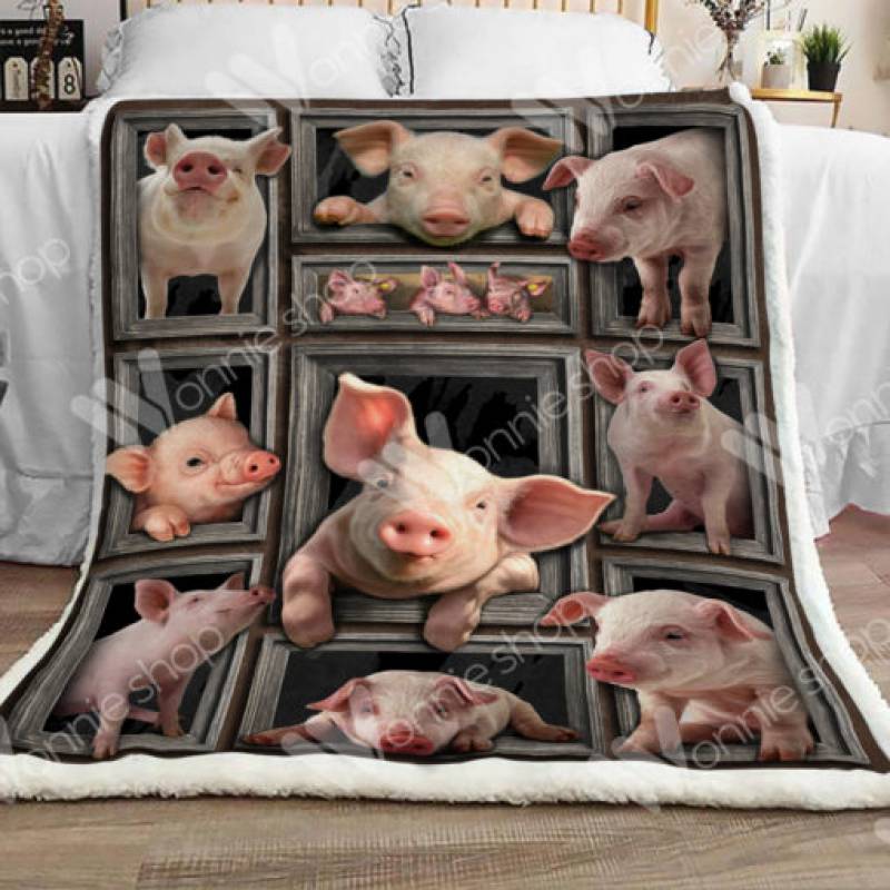 Pig Sherpa Blanket  DCB1101 81O60