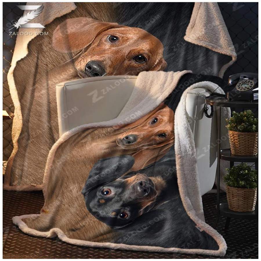 Zalooo – Blanket – Dog – Cute Dachshund