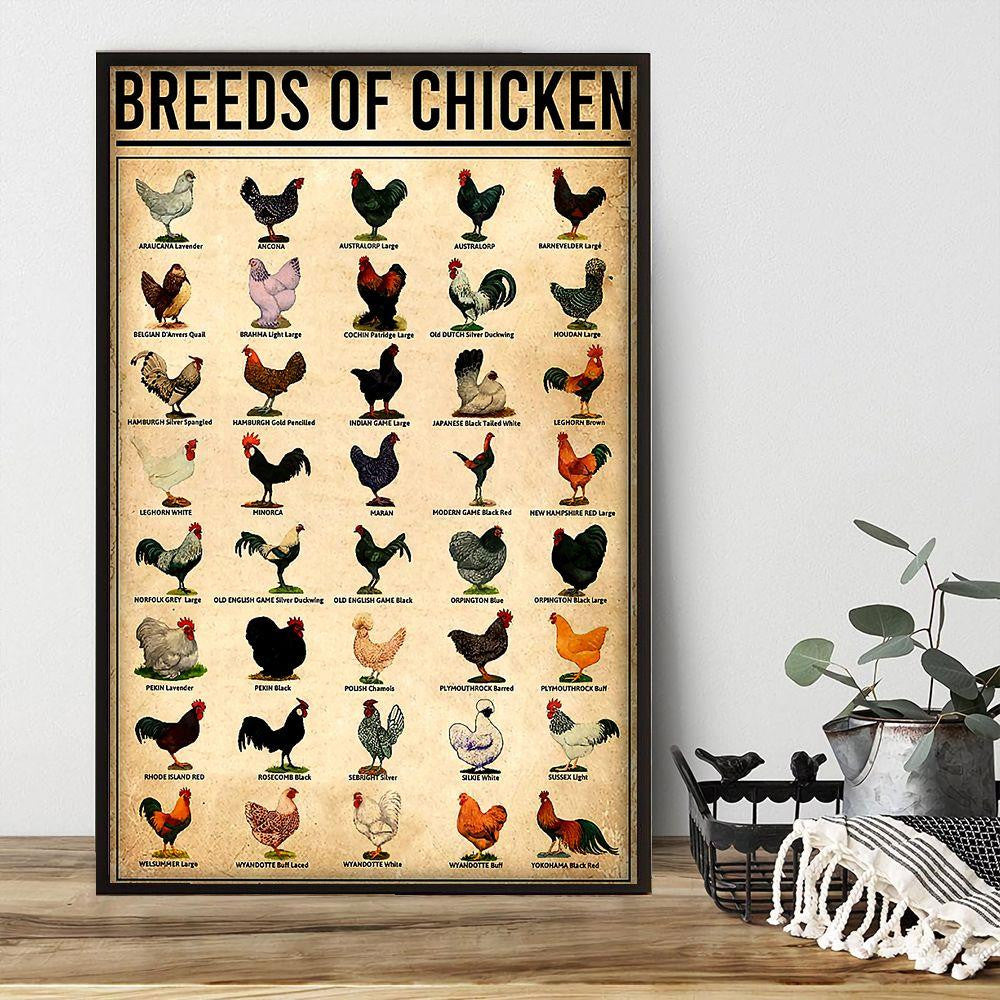 Breeds Of Chicken Poster Canvas Home Décor Birthday Thanksgiving Christmas Gifts For Women Men – Gigo Smart