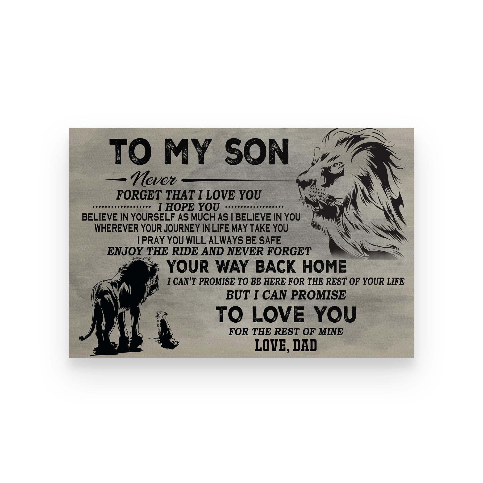 Lion poster dad to son never forget that I love you